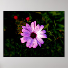 The Purple Flower Poster