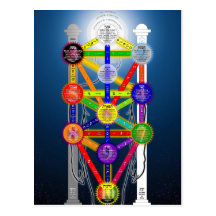 The Qabalistic Tree of Life Structure Diagram Post Card