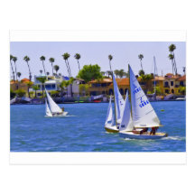The Race Postcard