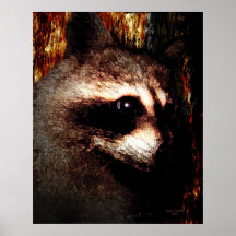 The Racoon Poster