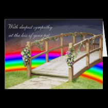 The rainbow bridge cards