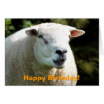 THE RAM GREETING CARDS