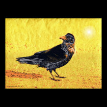 the raven and the white sun posters