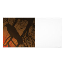 The Raven Halloween Photo Card