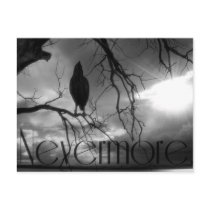 The Raven - Nevermore Sunbeams & Tree B&W