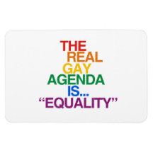 THE REAL GAY AGENDA RECTANGULAR MAGNETS