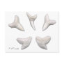 The Real Jaws-Sharks Teeth Postcard