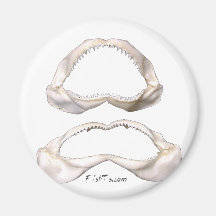 The Real Jaws-Sharks Teeth Refrigerator Magnet