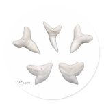 The Real Jaws-Sharks Teeth Round Sticker