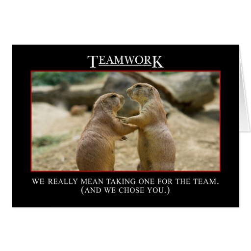 teamwork