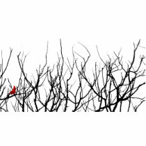 The Red Bird by Leslie Peppers Acrylic Cut Out