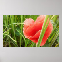 The Red Flower Print