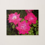 The Red Roses 3 Puzzle