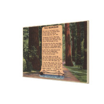 The Redwood Highway, Poem by Strauss Canvas Prints