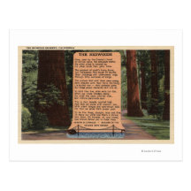 The Redwood Highway, Poem by Strauss Post Card