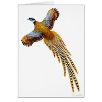 The Reeves Pheasant Card