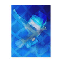 The release of the dove postcard