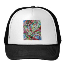 the repose of the circle fish trucker hats