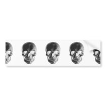 The Revolution Is Here Bumper Stickers