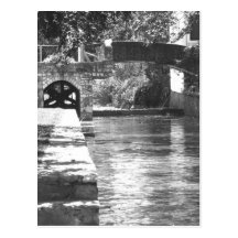 The River Post Cards