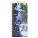 The River's Edge rack cards