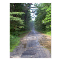 The Road Home - Country Road in Maine Postcard