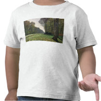 The Road to Bas-Breau, Fontainebleau , c.1865 T-shirt