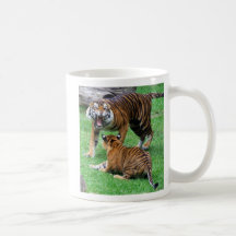 The Roar!!! Mug