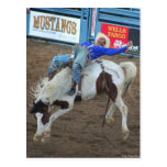 The Rodeo Collection - Wild Ride Postcards