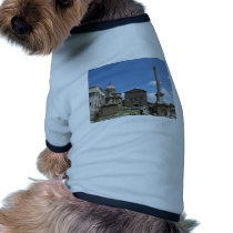 The Roman Forum · Photo, exterior Pet Clothing