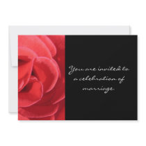 The Rose by Kathryn Trembach Photography Custom Announcements