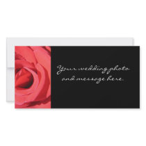 The Rose by Kathryn Trembach Photography Picture Card