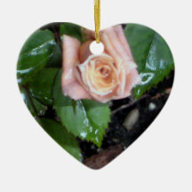 The Rose Ornament