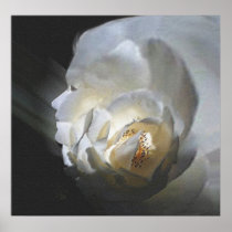 The Rose Posters