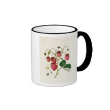 The Roseberry Strawberry, engraved by Watte Coffee Mugs