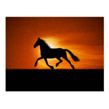 The Running Horse Post Card