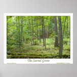 The Sacred Grove Print