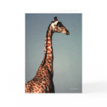 The Sad Giraffe - Digital Watercolor Greeting Card
