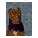 The sad pit bull post cards