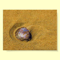 The Sand is my Home posters