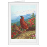 The Satyr Tragopan; Cards