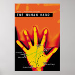 The science of the hand poster