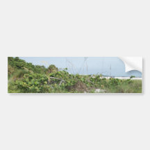 The Sea Dunes in Asphalt Art Bumper Stickers