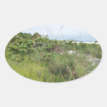 The Sea Dunes in Asphalt Art Sticker
