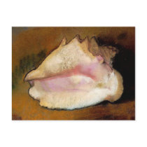 The Seashell, c. 1912 Postcards
