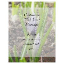 The Season's First Crocuses Flyer Design