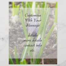 The Season's First Crocuses Flyer Design