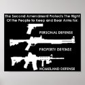 The Second Amendment Protects posters