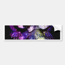 THE SEER IN THE MIRROR BUMPER STICKER