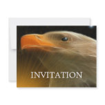 The Sentry / Fly With The Eagles Announcements